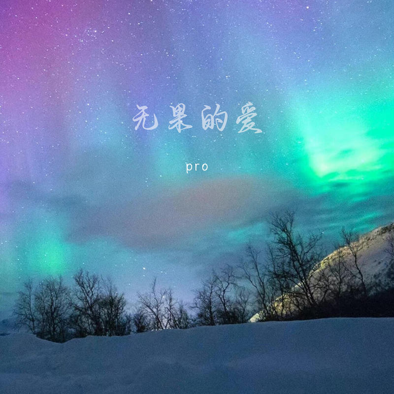 无果的爱封面