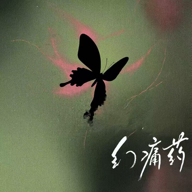 幻痛药封面