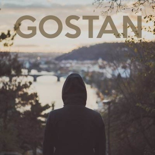 Team(GostanEdit)封面