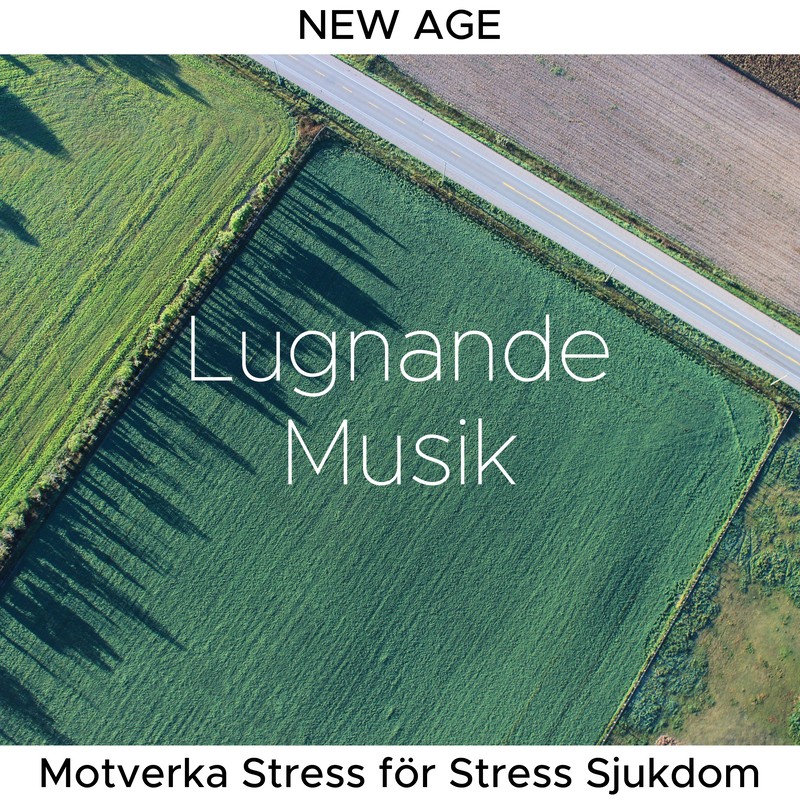 Naturläkemedel封面