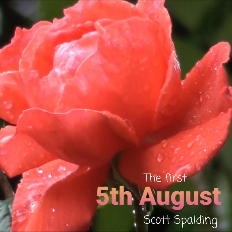 5thAugust封面