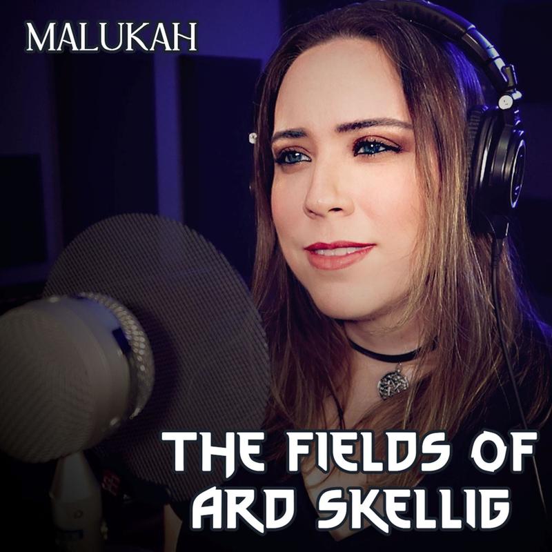 TheFieldsofArdSkellig封面
