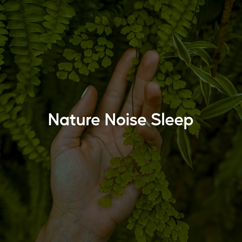 SleepSanctuaryNoise封面