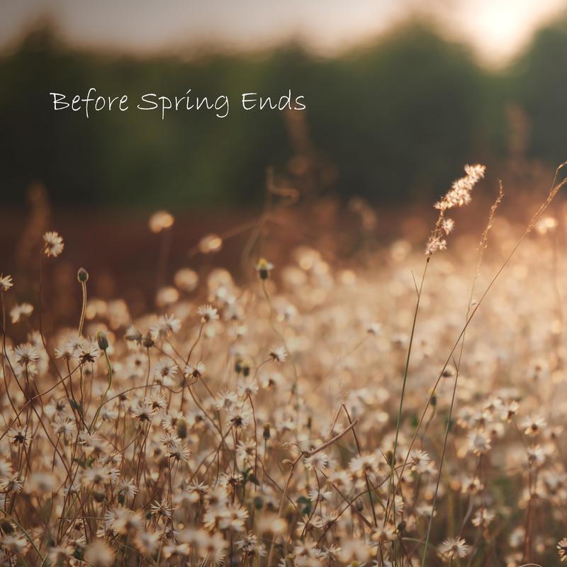 BeforeSpringEnds封面