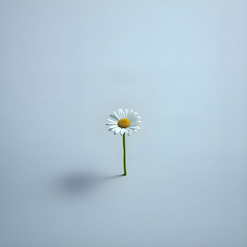 TablebytheWindow封面