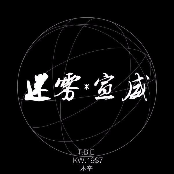 迷雾宣威封面
