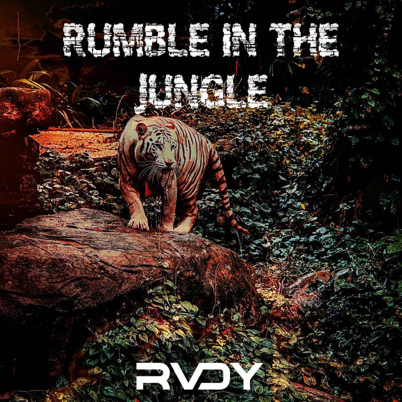 RumbleintheJungle封面