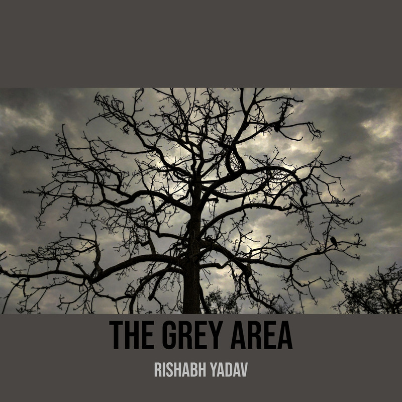 TheGreyArea封面