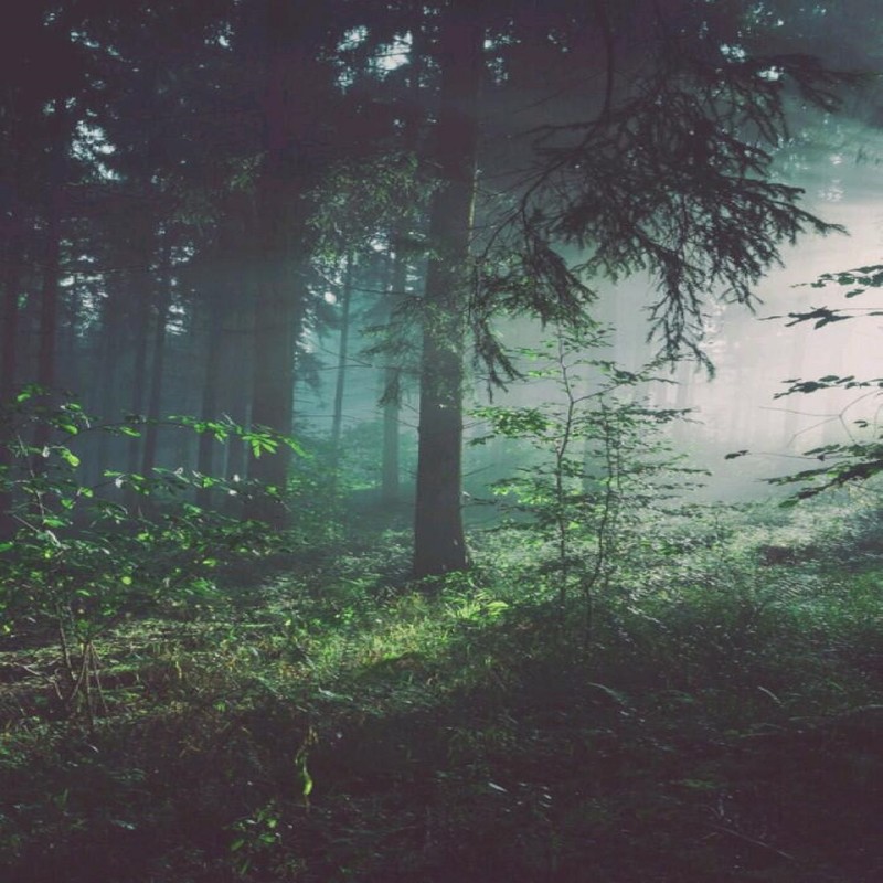 Deep♥(:≡封面