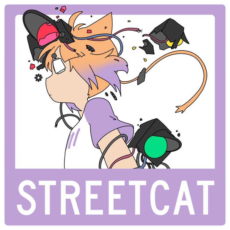 streetcat封面