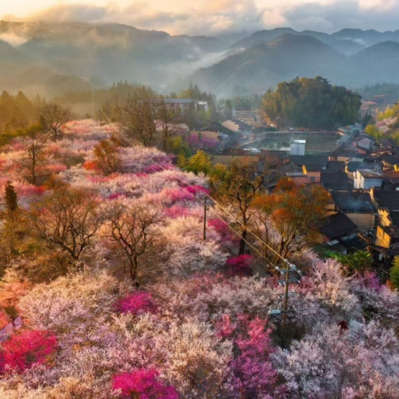落歌草原封面