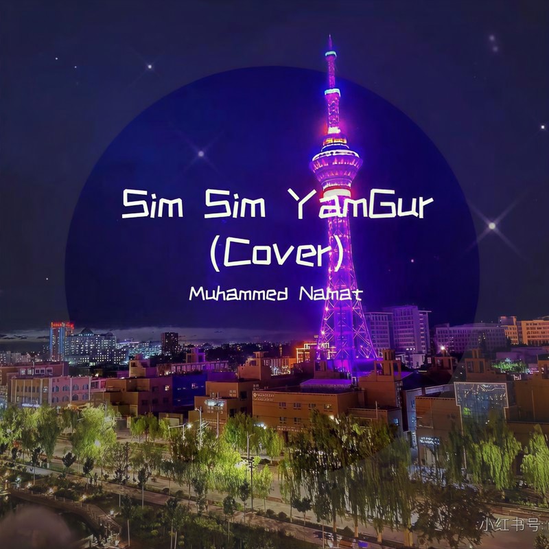 SimSimYamgur封面