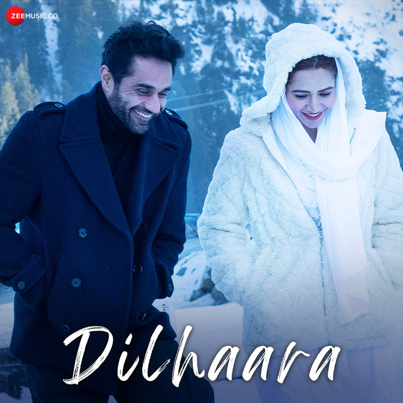 Dilhaara封面