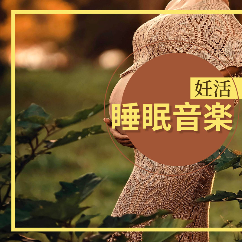 睡眠日封面