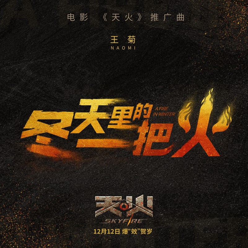 冬天里的一把火封面