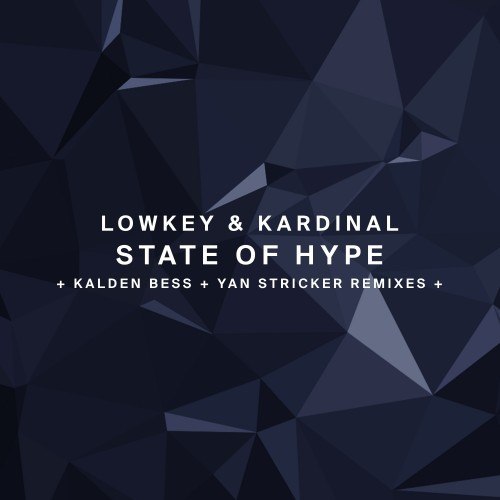 StateofHype封面