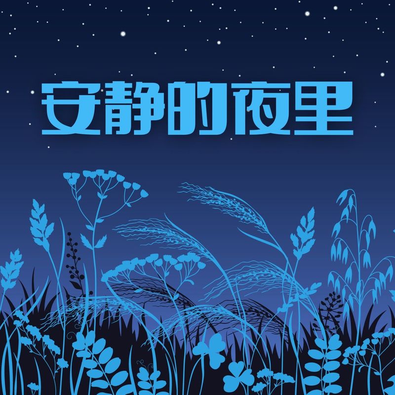 乐团封面