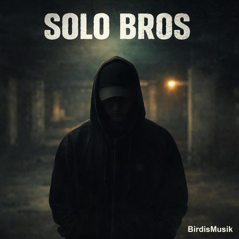 SoloBros封面