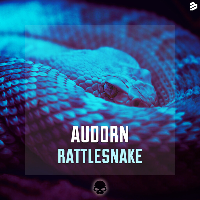 Rattlesnake封面