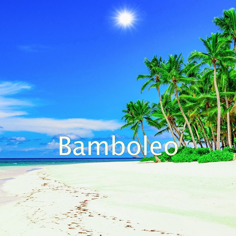 Bamboleo封面