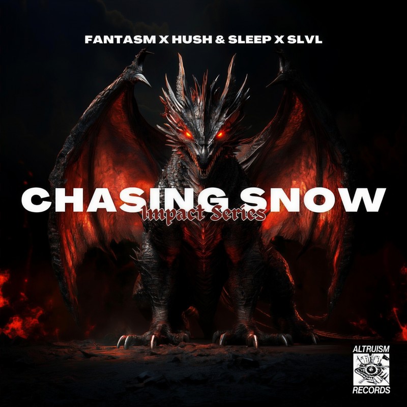 CHASINGSNOW封面