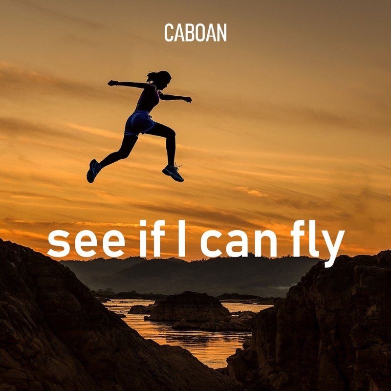 SeeIfICanFly封面