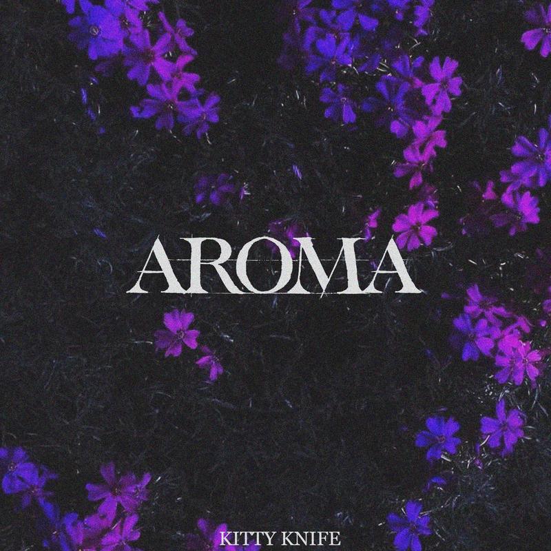 AROMA(Explicit)封面