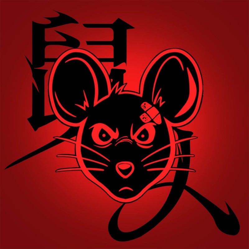 迷星封面