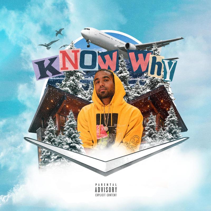 KnowWhy封面