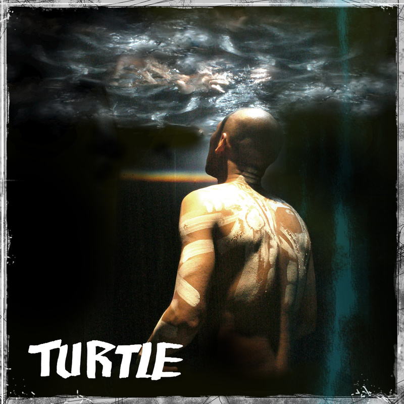 Turtle封面