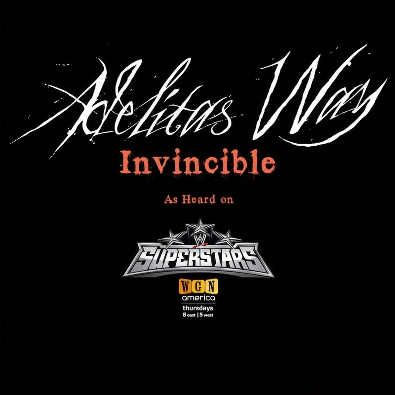 Invincible(WWESuperstarsThemeSong)封面