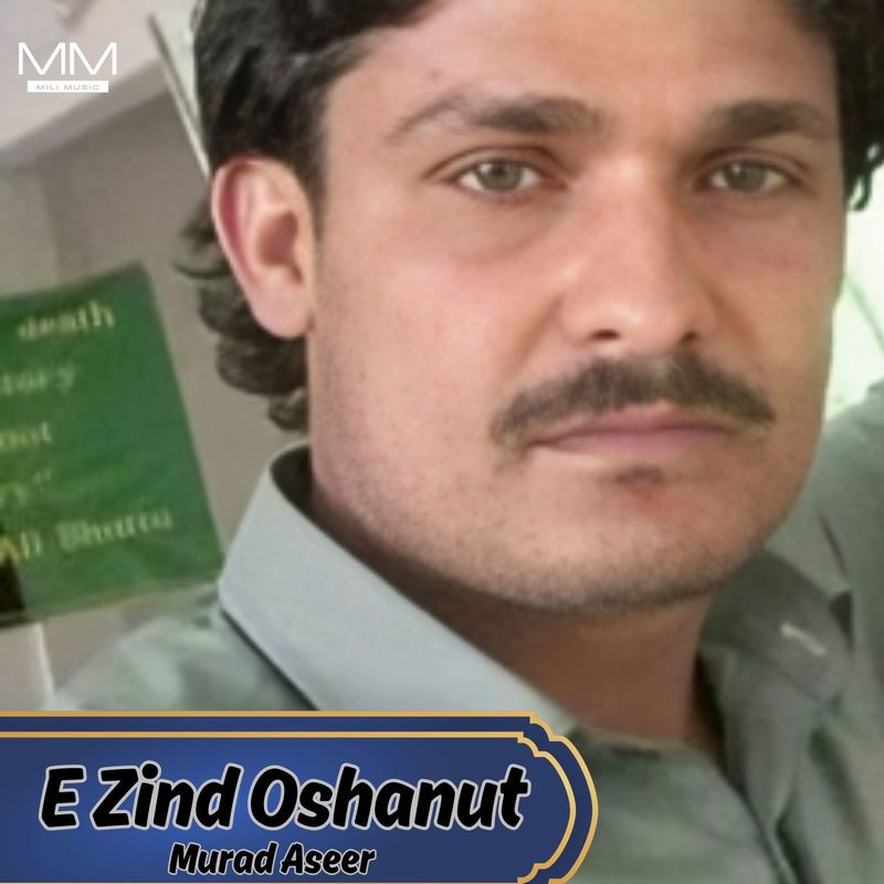 EZindOshanut封面