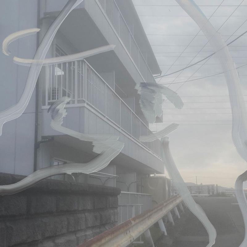 entropy封面