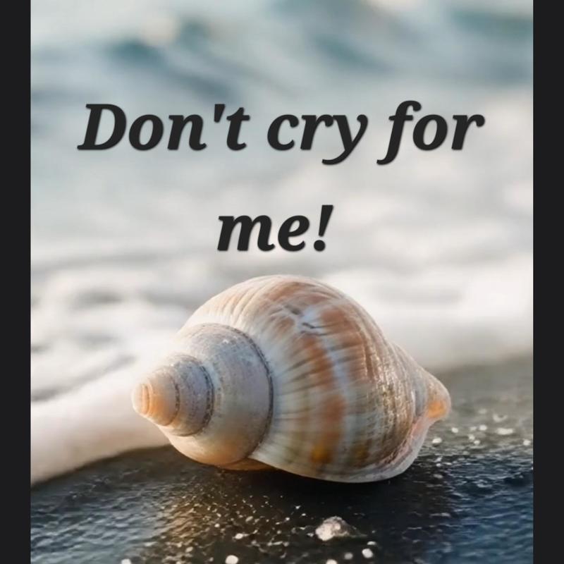 Don'tcryforme.封面