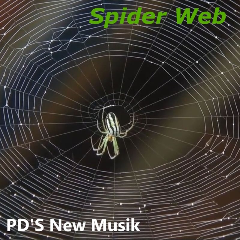 SpiderWeb封面