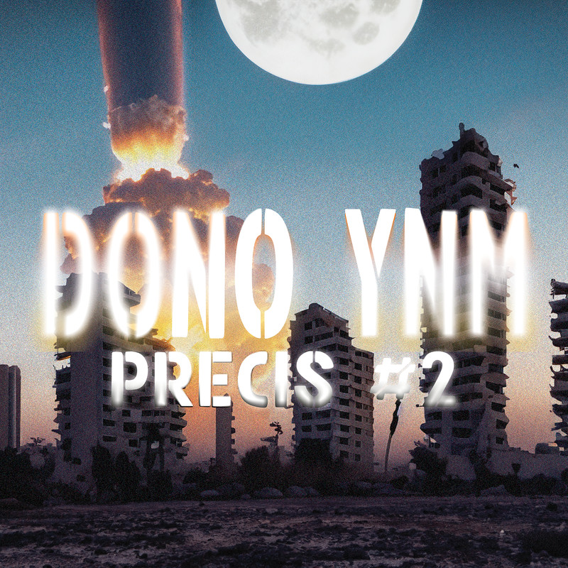 PRECIS2封面