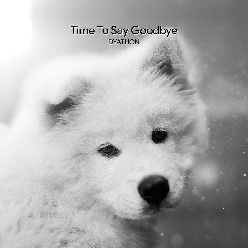 TimetoSayGoodbye封面