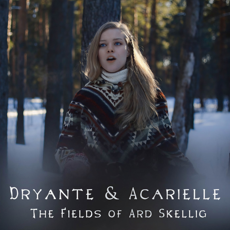 TheFieldsofArdSkellig封面