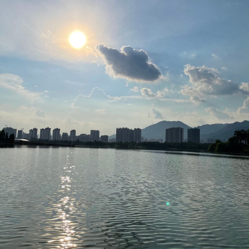 刺客封面