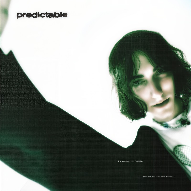predictable封面