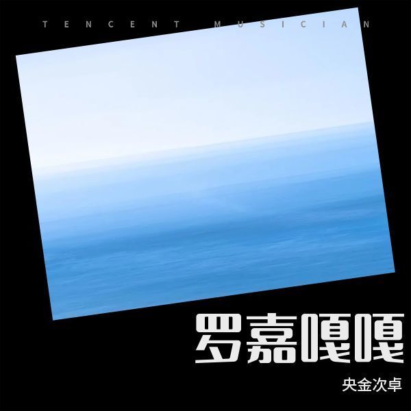 罗嘉嘎嘎封面
