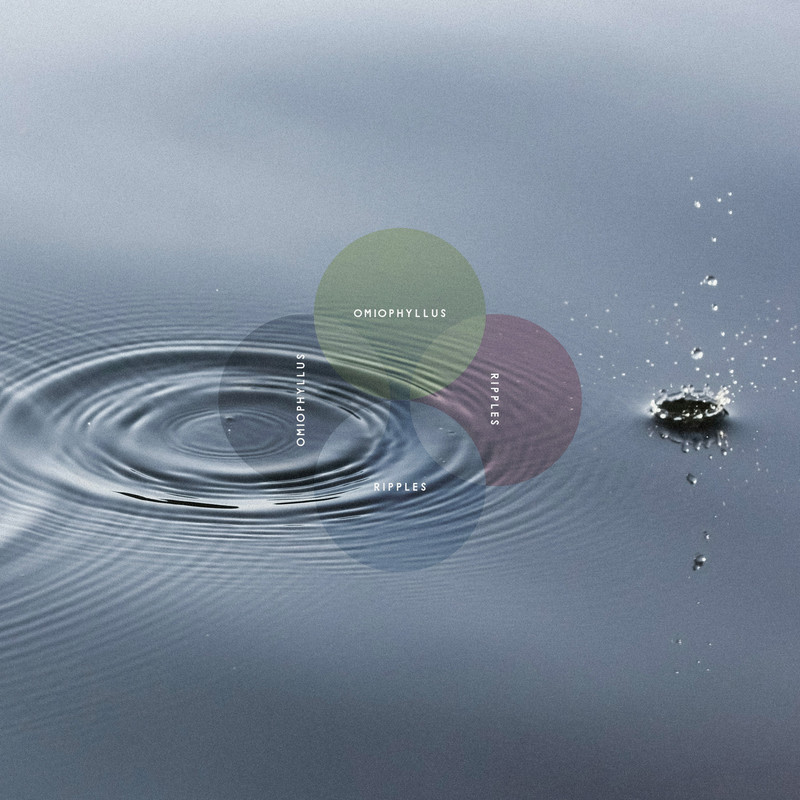Ripples封面