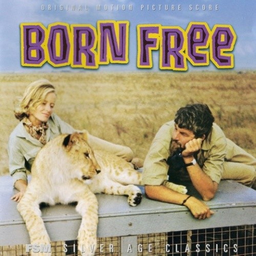BornFree封面