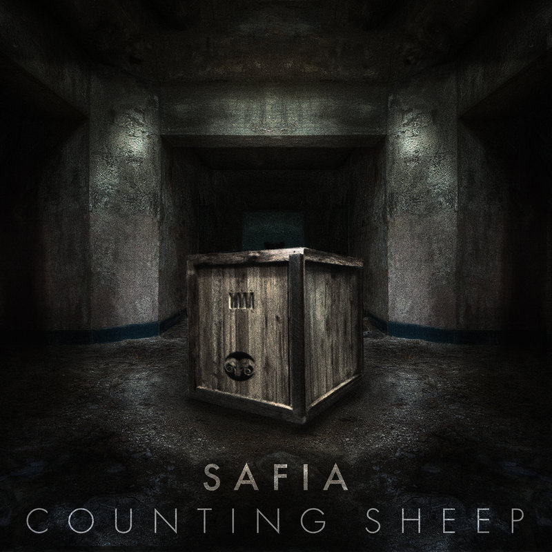 CountingSheep封面