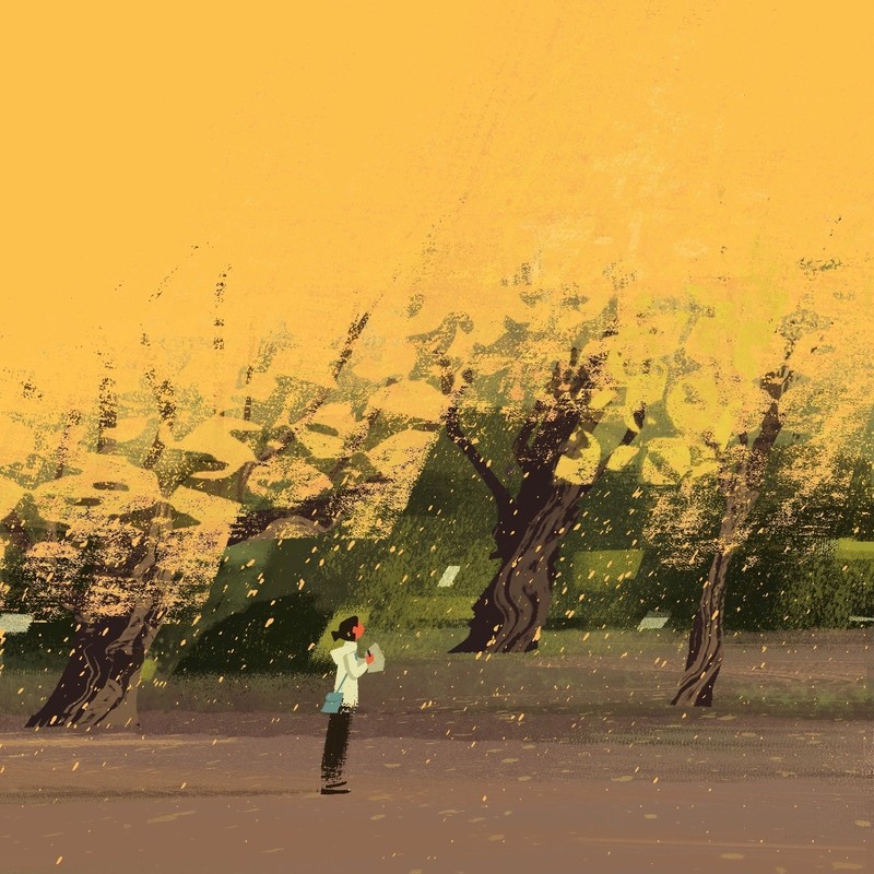exquisite封面