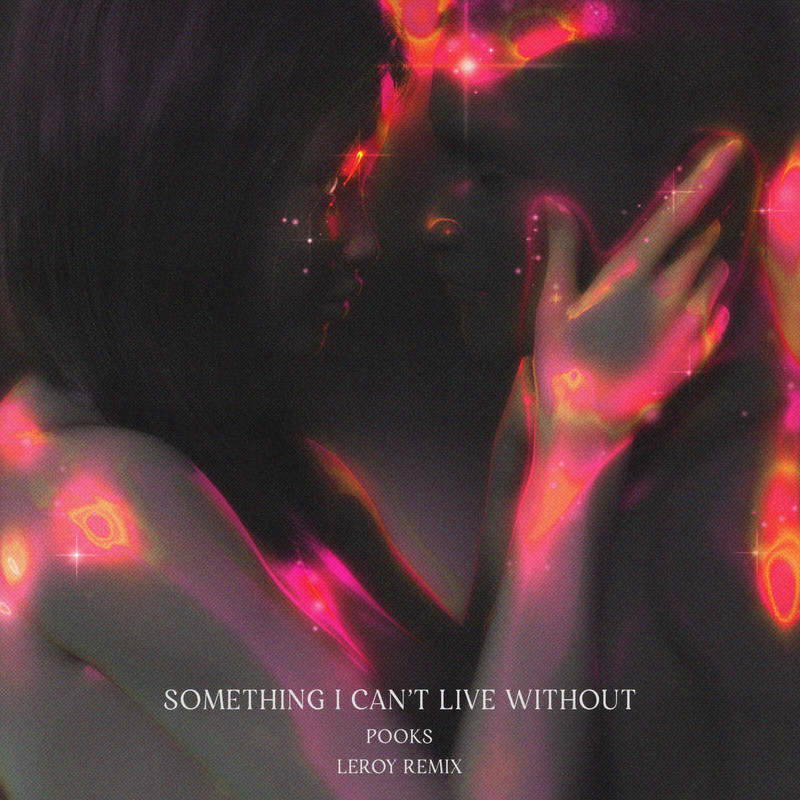 SomethingICan'tLiveWithout封面