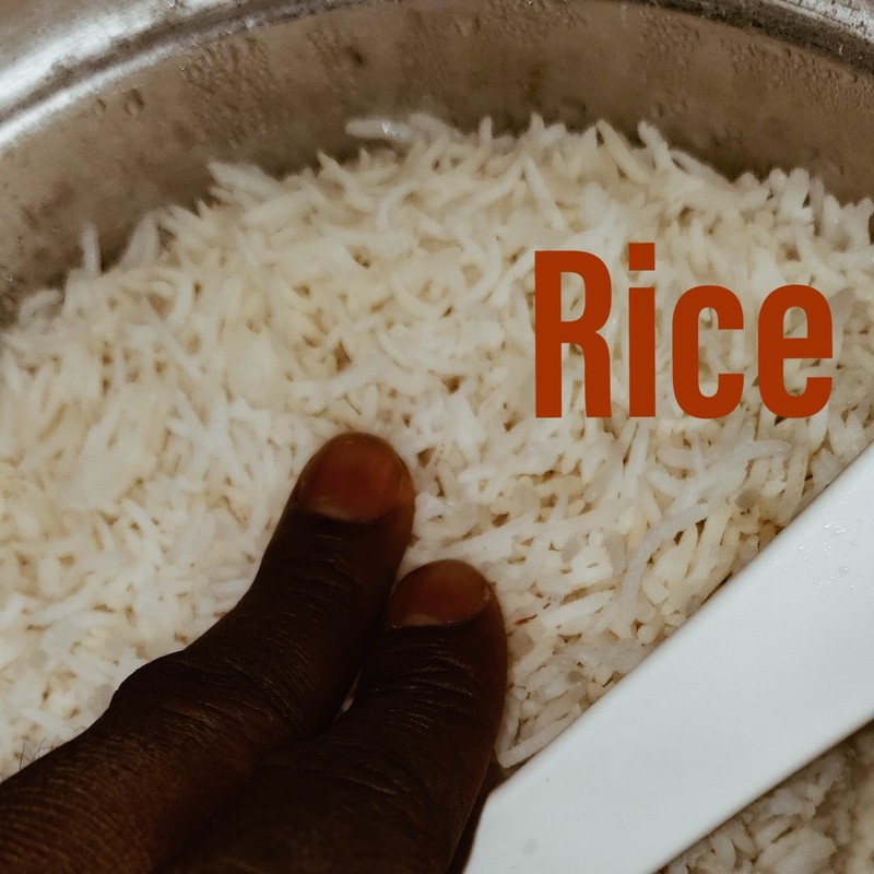 Rice封面