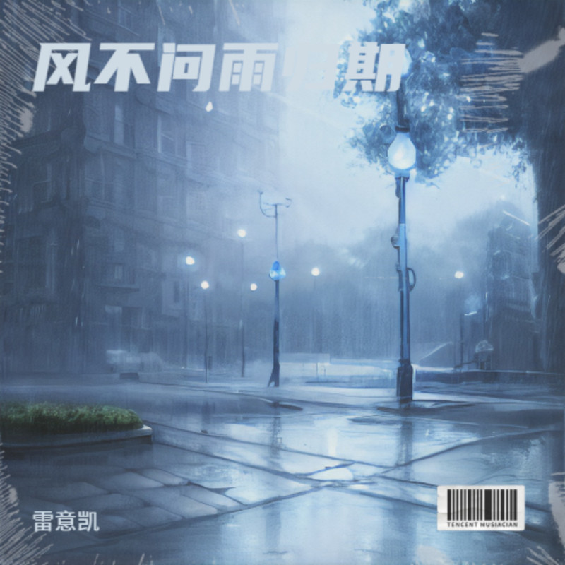 风不问雨归期封面