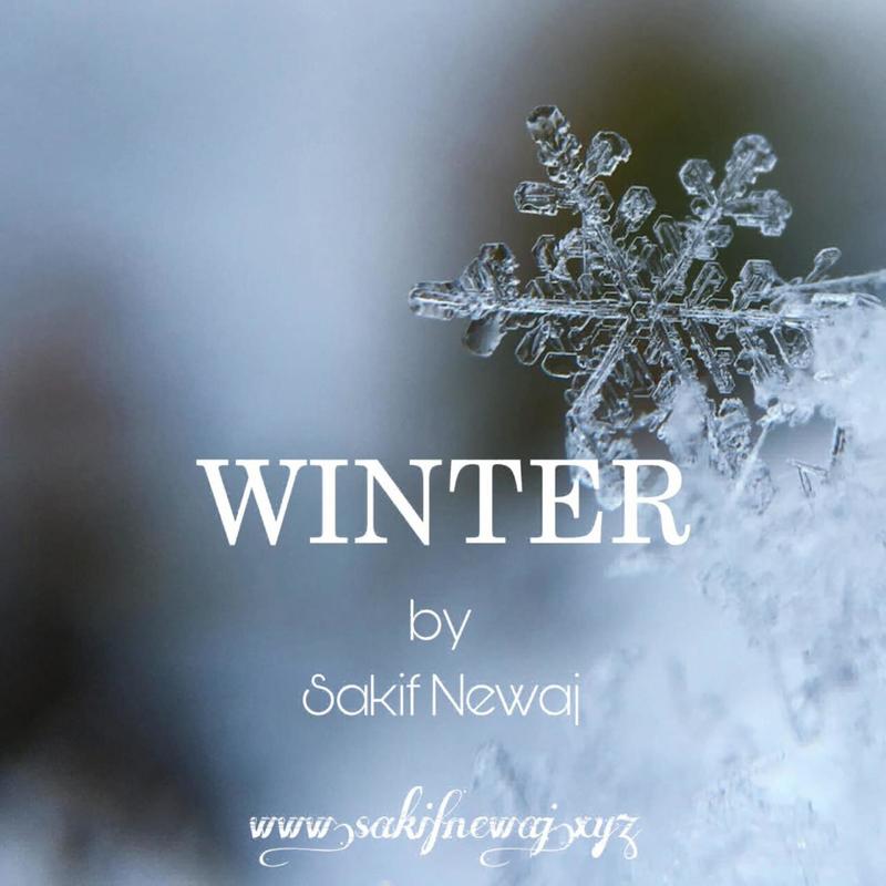 Winter封面