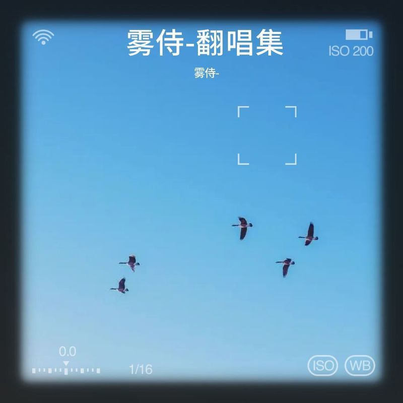 美丽谎言封面